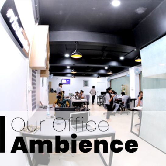 Our Office Ambience